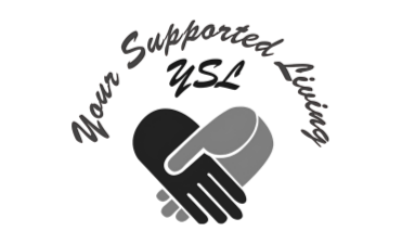 ysl (2)